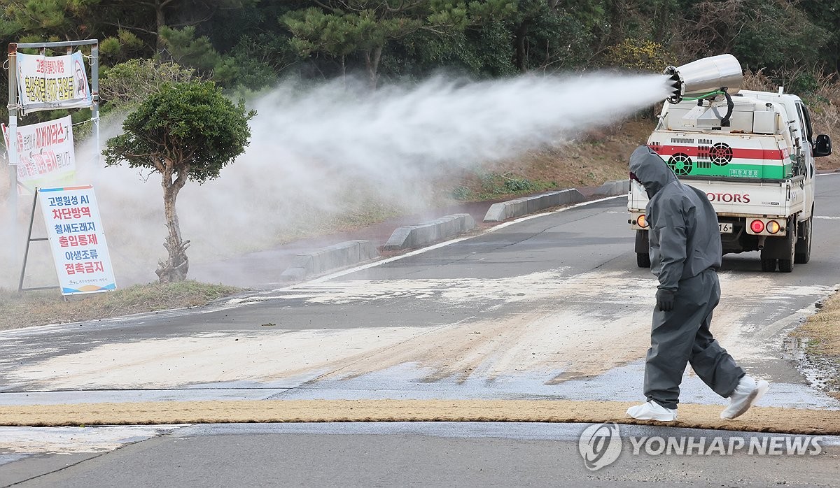 고병원성 AI 특별방역 종료…축산·식품주 영향 분석 | 카더라 (2026)