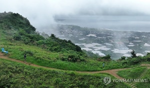 구름위산책