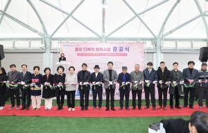 영종도용유동솔밭