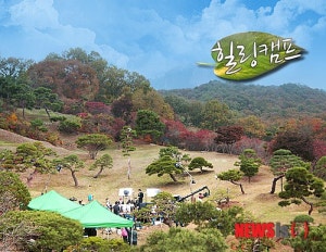 메이캠프