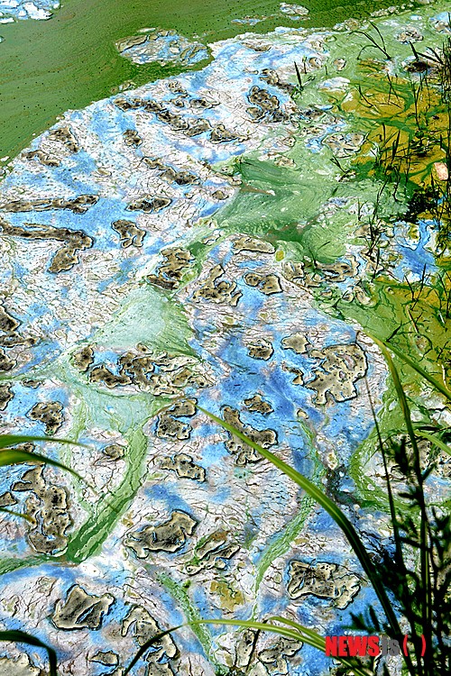 NISI20140630_0009864273_web_99_201406301