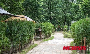 금대에코힐링캠핑장