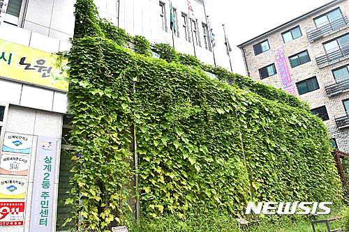 노원구, 건물외벽 '녹색커튼'으로 더위 잡는다