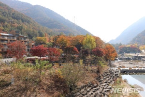 장령산자연휴양림