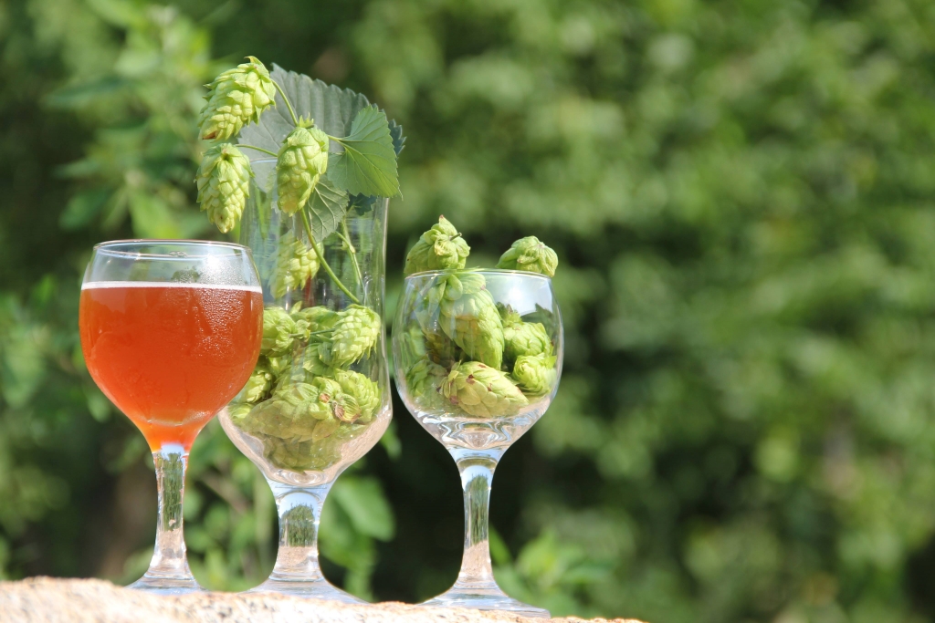 Westvleteren 12 (베스트블레테렌 12 트라피스트 에일)