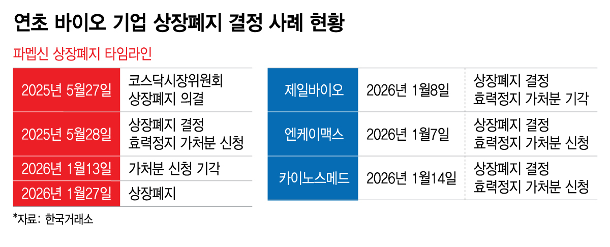 카이노스메드(284620) 관련 이미지 5