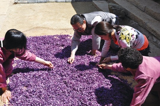 두견주 (Dugyeonju)