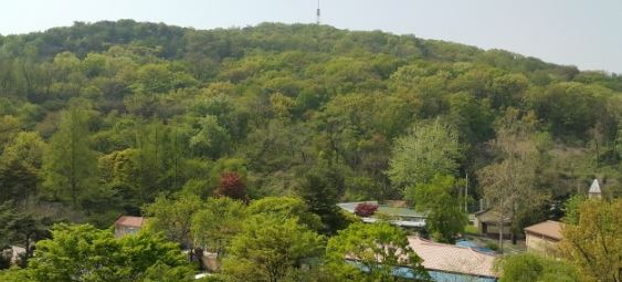 용산구 숲세권 아파트 `남산맨션`, 실수요자에 꾸준한 인기 누려