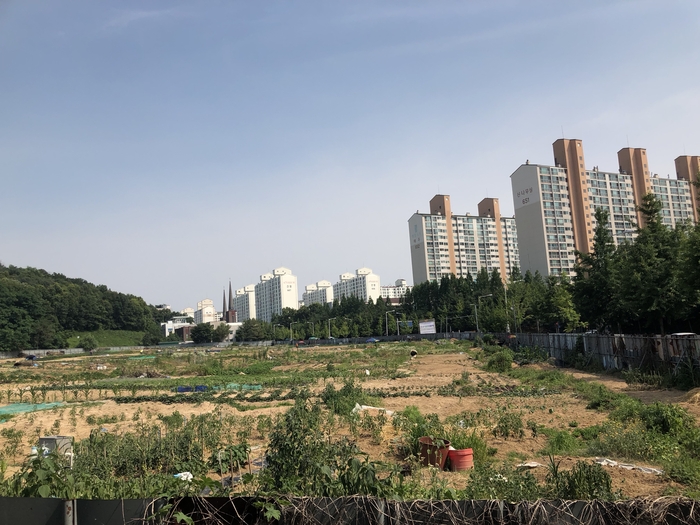 수원시 아파트 신축 vs 구축 비교 — 2026 실거래 분석