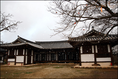 루저우라오자오 특곡 (泸州老窖特曲)