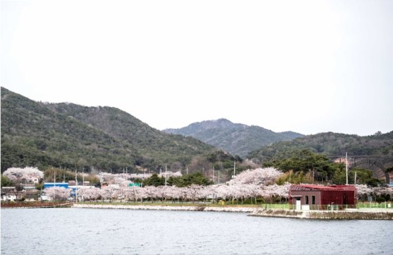 전남 영광에서 귀한 대접 받는 새 아파트… 첫 힐스테이트 단지 ‘힐스테이트 영광’ 분양 예정