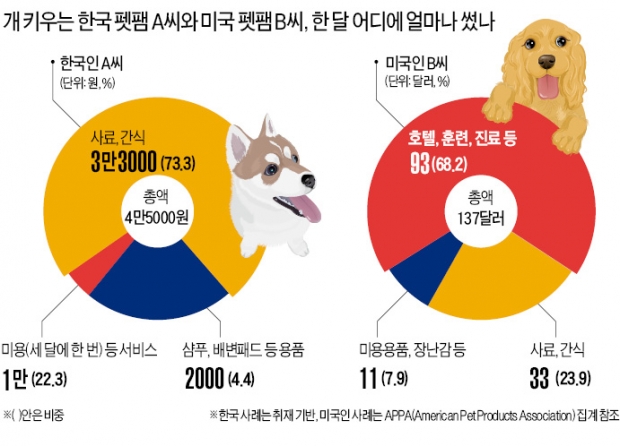 펫시티 (Pet City)