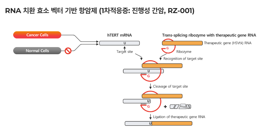 알지노믹스(476830) 관련 이미지 5