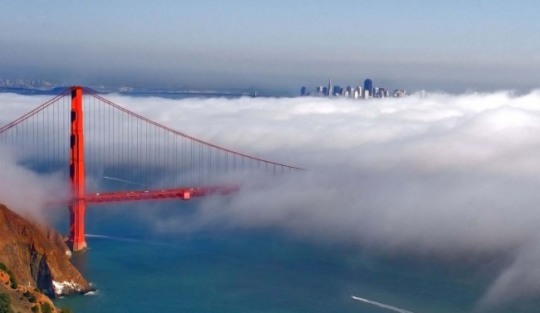 Hangar 1 Fog Point Vodka (행거 1 포그 포인트 보드카)