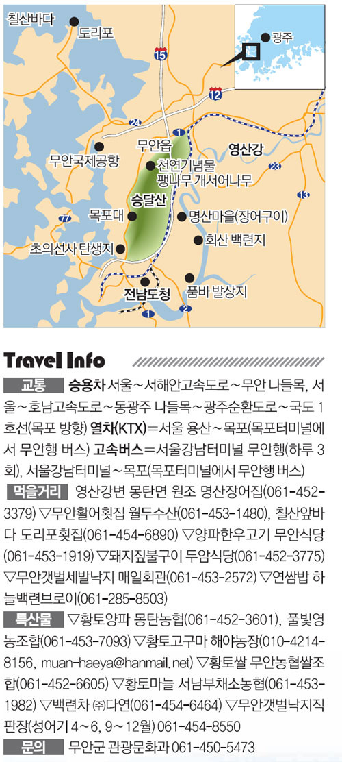[김화성 전문기자의 &joy]전남 무안의 봄맞이
