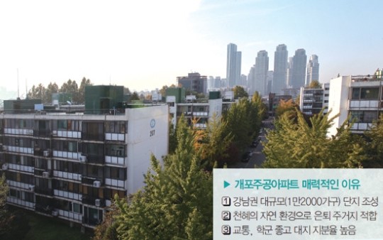 [재건축 아파트 톱5]전문가 선정 유망 재건축 단지 2위 : 개포주공 | 대치·도곡 아우르는 랜드마크 기대