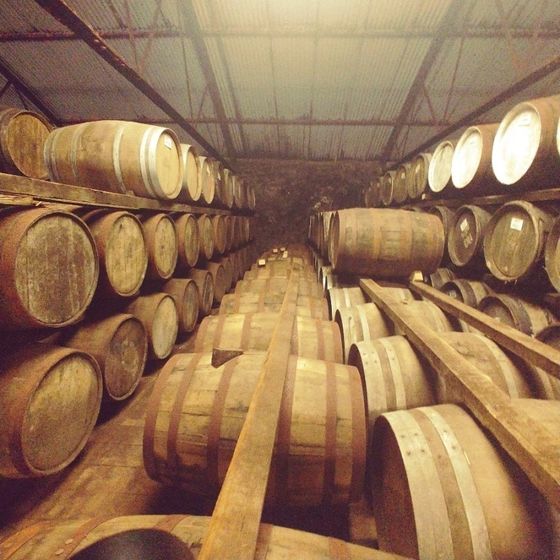 The Whisky Mercenary 독립병입자 - 영국 위스키 병입자