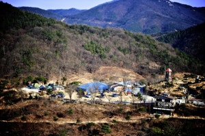 이안숲속