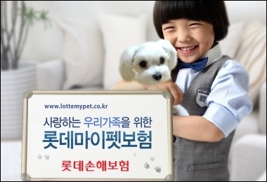 애완동물 보험 (Pet Insurance)