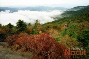 지리산황전야영장