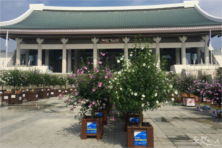 경남도, 산림청 '무궁화 분화 품평회' 동상 수상