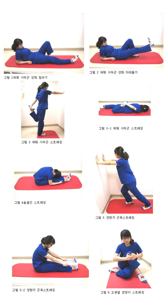 무릎 운동