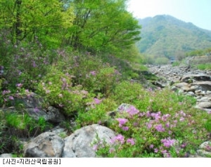 미륵사지오토캠핑장