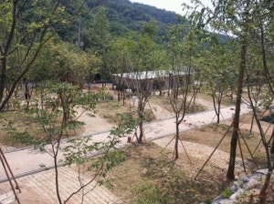 도학 오토캠핑장