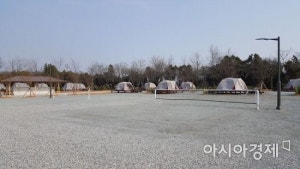 함평나비마을 서울캠핑장