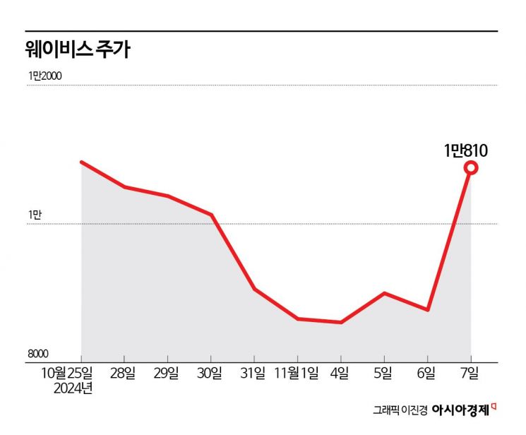 웨이비스(289930) 관련 이미지 4