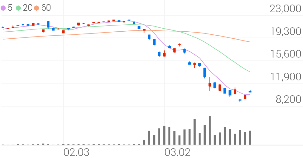 TIGER 미국S&P500(381180) 관련 이미지 5