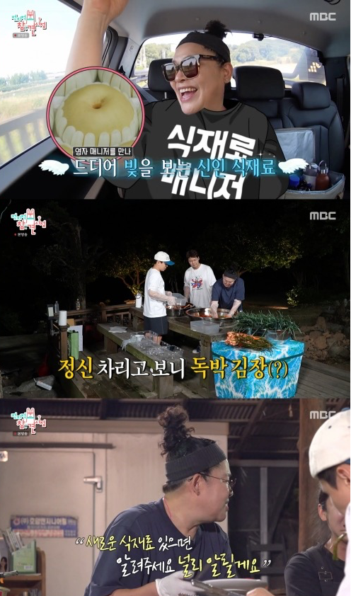 양대파