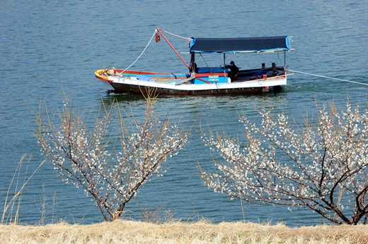 전남 광양시 아파트 분양 제한한다… HUG '미분양관리지역' 지정