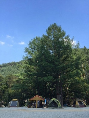 공작산계곡 오토캠핑장