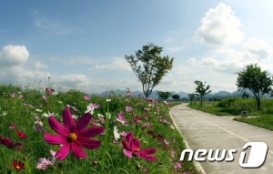 강나루 오토캠핑장