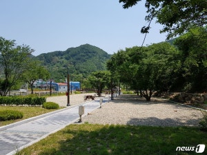 단양 남천 캠핑장