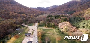 선운산도립공원야영장