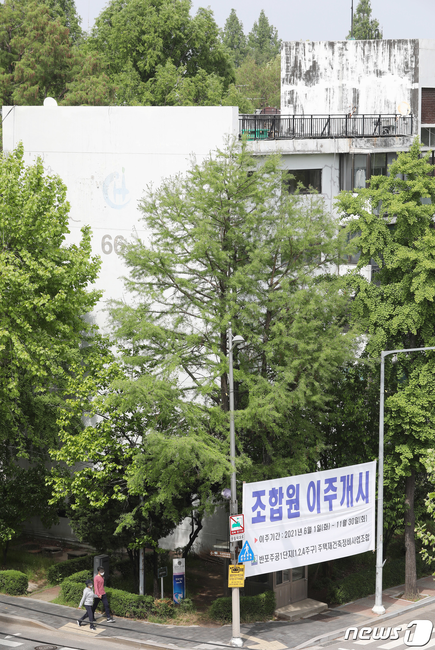 주공1단지 층별 가격 분석 — 서울 저층·중층·고층 실거래가 비교 (2026)