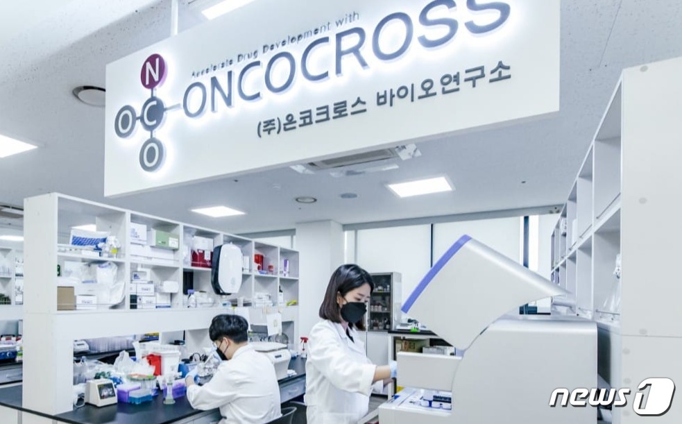 온코크로스(382150) 관련 이미지 4