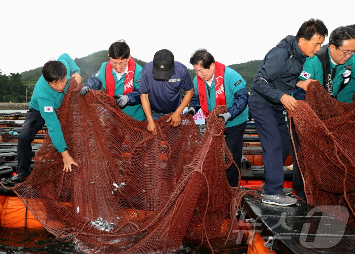 고흥경보이-그린 전남 아파트 현장 사진 3