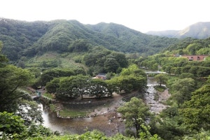 백일야영장