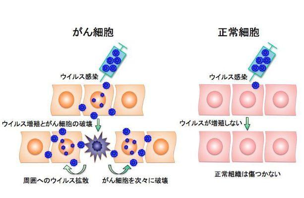 5. 글로벌 파트너링 기대감