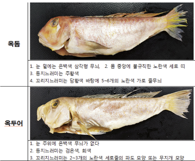 옥돔식당 제주 한림 옥돔구이