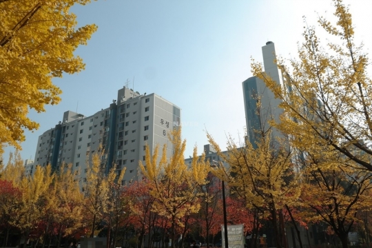 [단독] 강동구 '명일 우성' 안전진단 최종 통과…"명일동 4인방 재건축 속도"