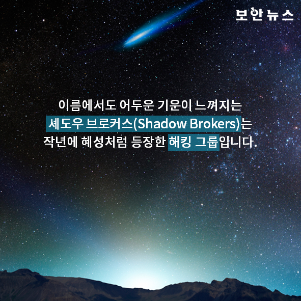 타이거브로커스(TIGR) 관련 이미지 6