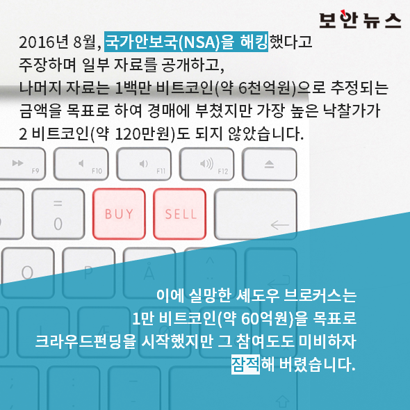 타이거브로커스(TIGR) 관련 이미지 4