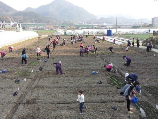장성군, 텃밭농장 운영··· 170세대 분양