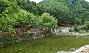 선바위자연캠핑장