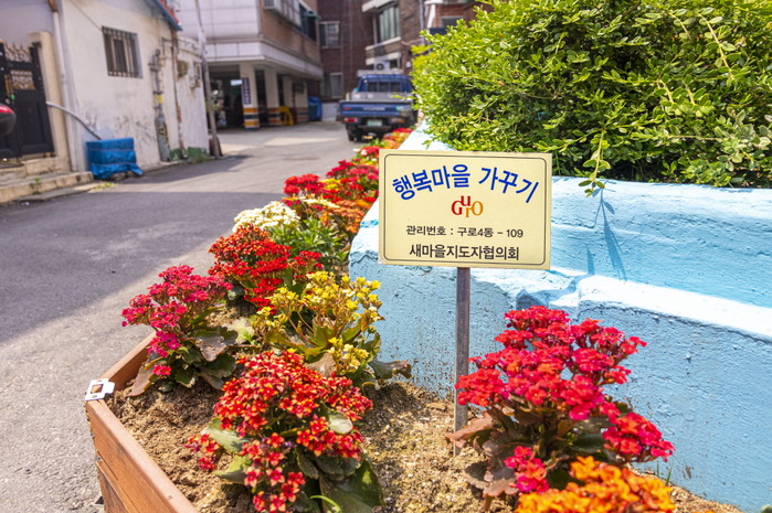 구로구, 쓰레기 무단투기 지역에 ‘꽃밭’ 조성