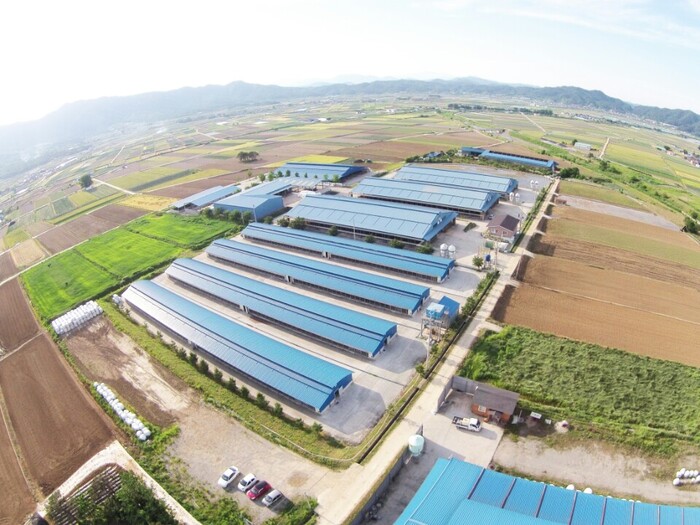 합천군 아파트 신축 vs 구축 — 2026 실거래